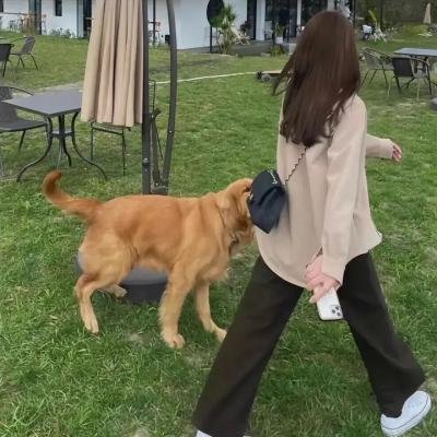 月亮之光